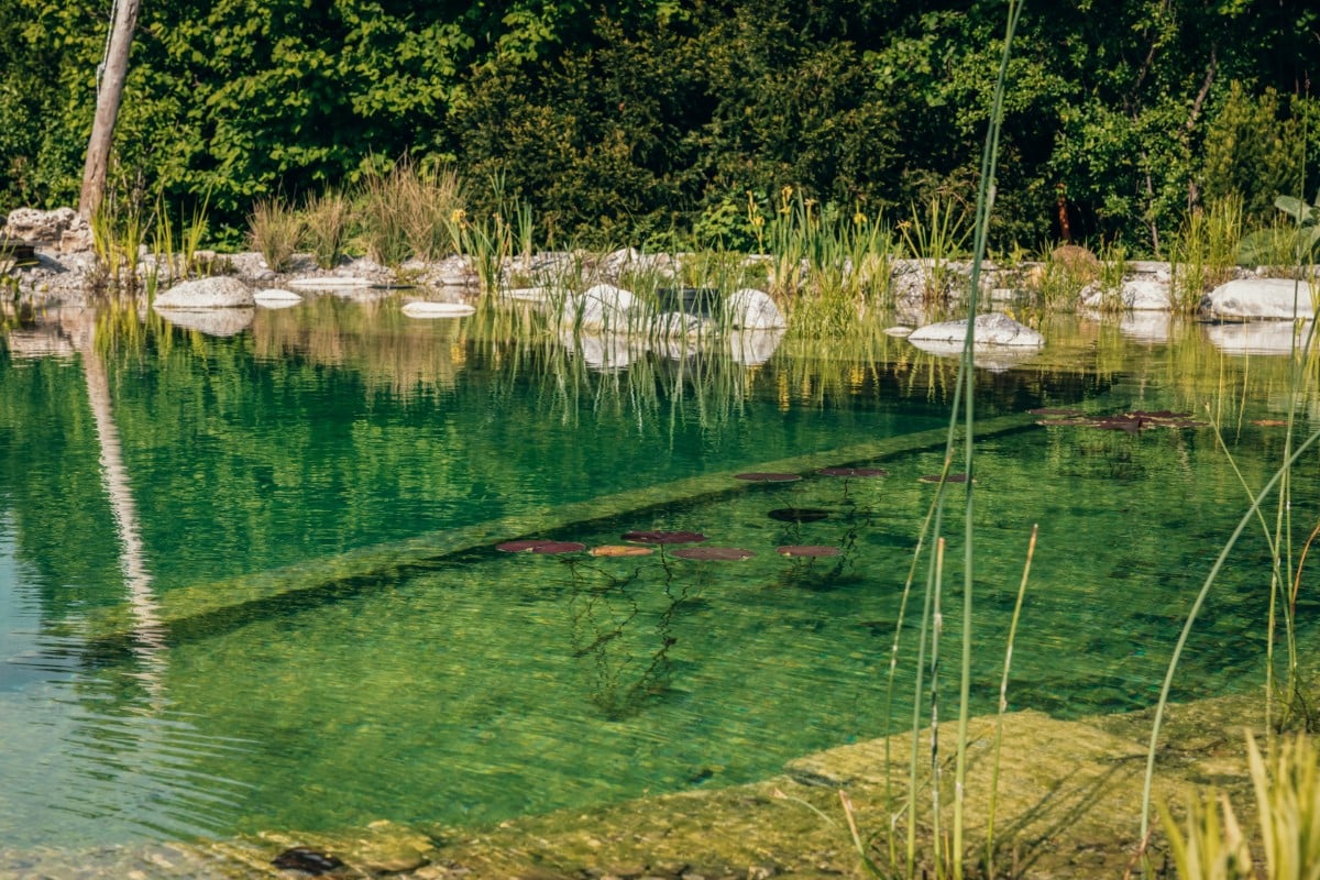 Schwimmteich - Garten- und Landschaftsbau Gschwend