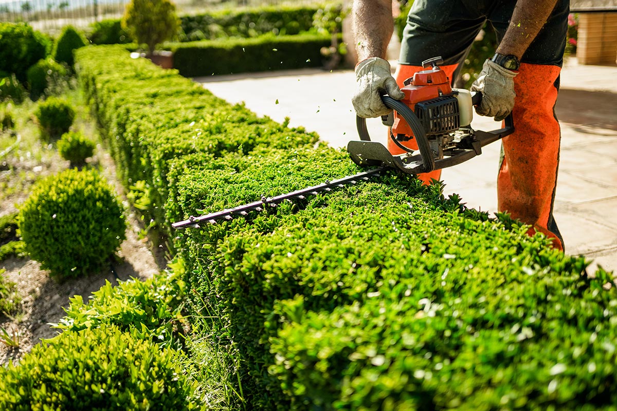 Service Heckenschnitt - Garten- und Landschaftsbau Gschwend